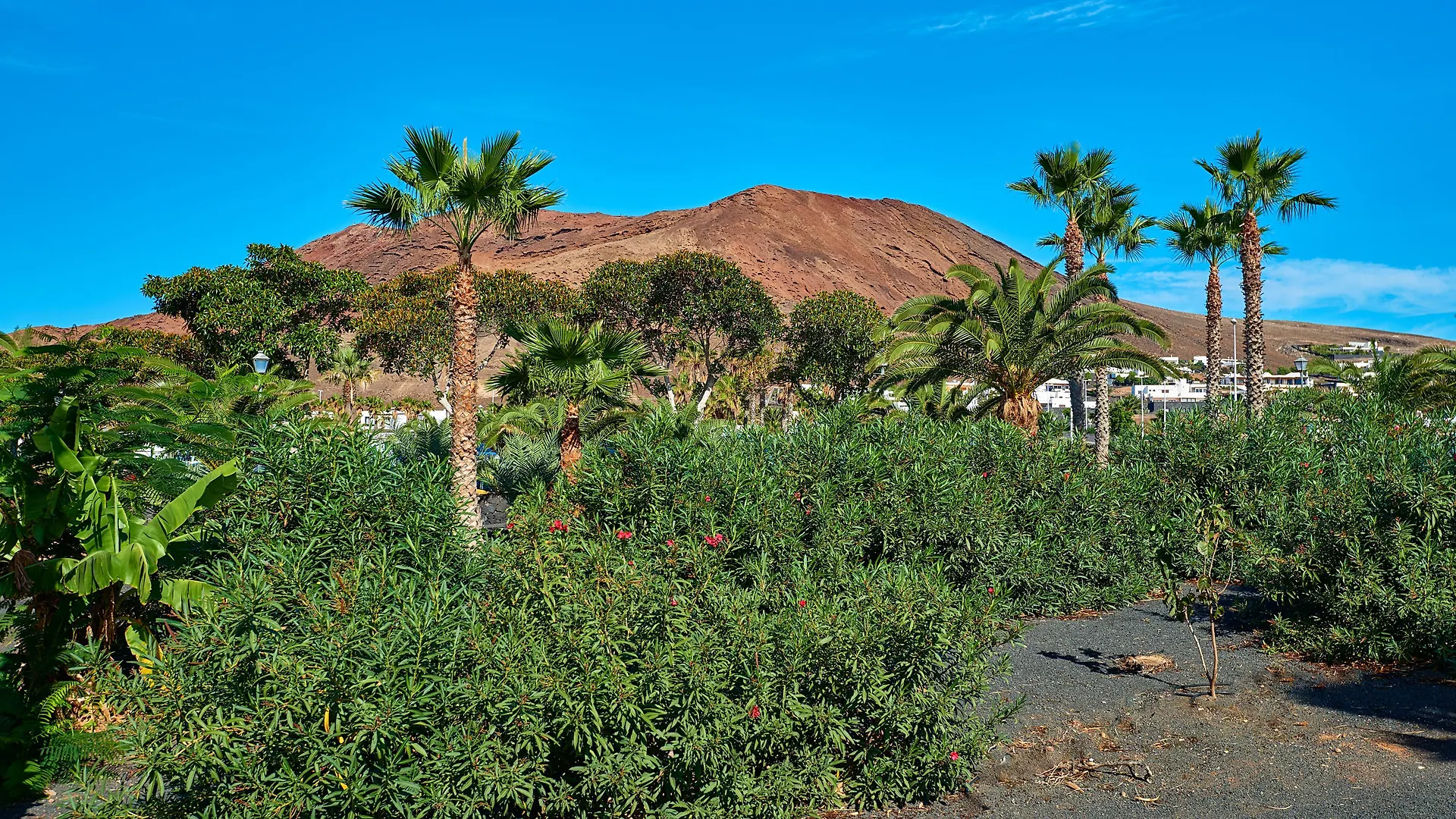 Hipotels Natura Palace Adults Only Playa Blanca  Spain